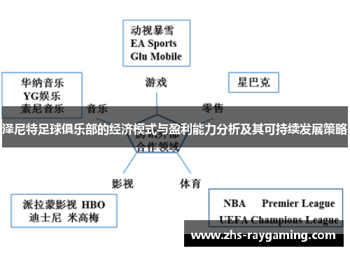 泽尼特足球俱乐部的经济模式与盈利能力分析及其可持续发展策略