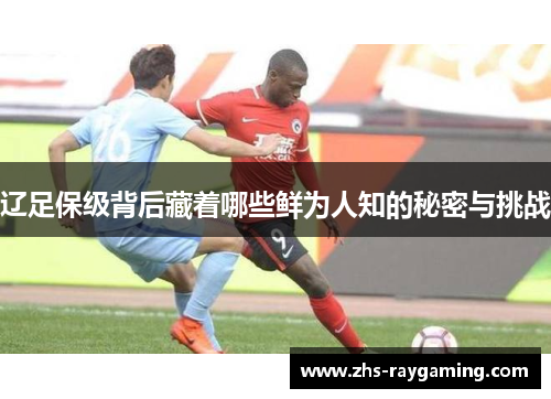 辽足保级背后藏着哪些鲜为人知的秘密与挑战